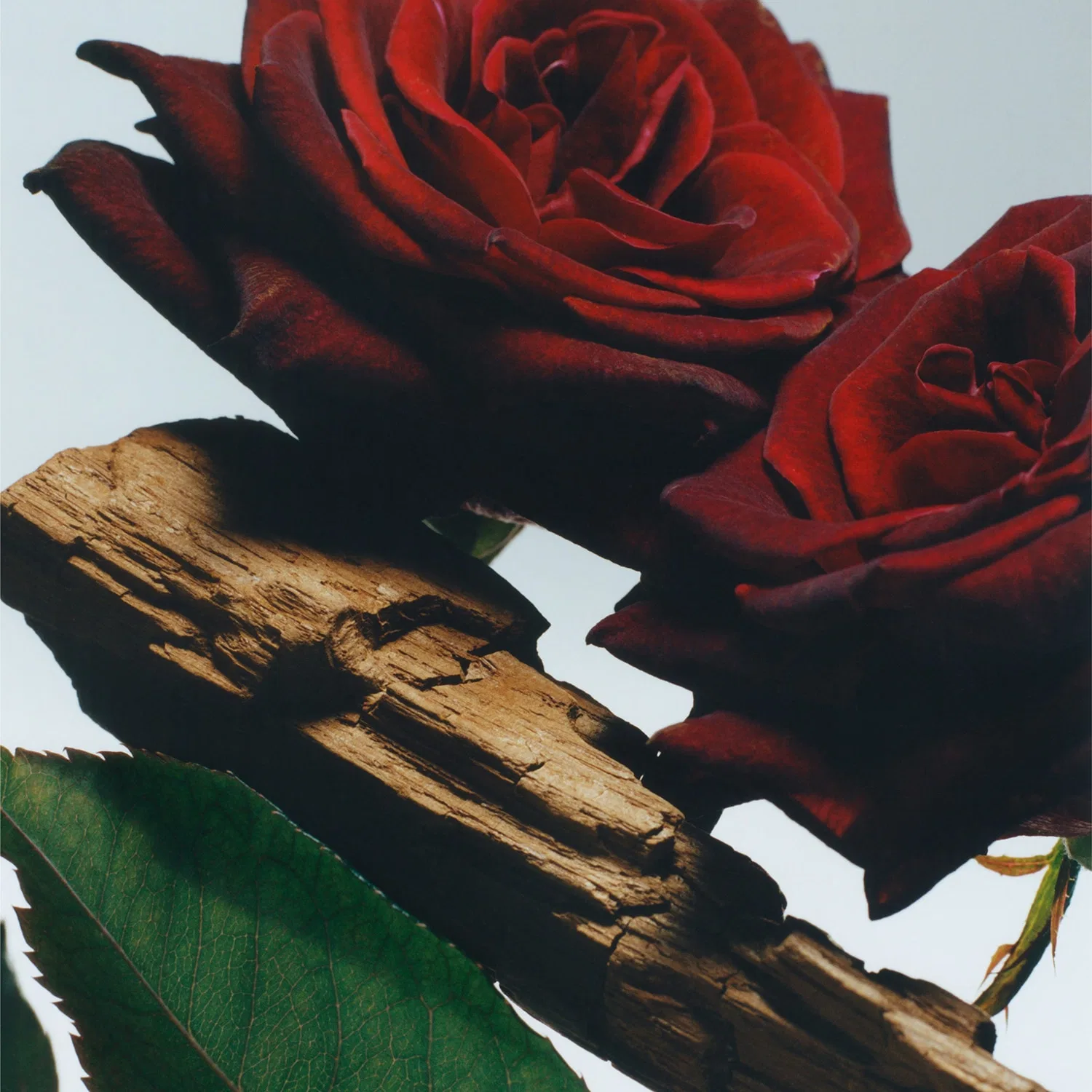Парфюмерная вода для тела 125 мл с ароматом Velvet Rose & Oud JO MALONE LONDON — фото 4