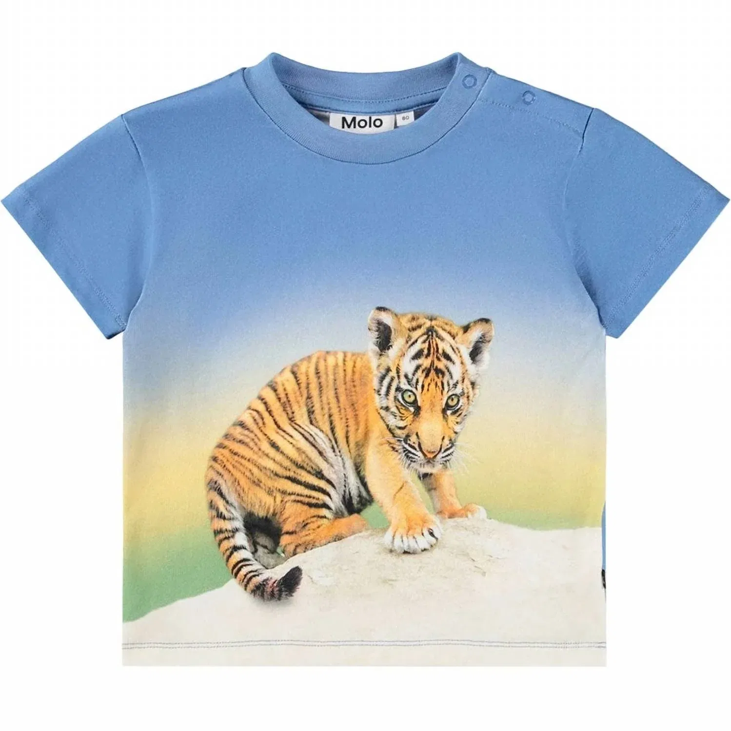 Детская футболка для мальчиков с коротким рукавом Enzo Tiger Cub Molo, Tiger Cub
