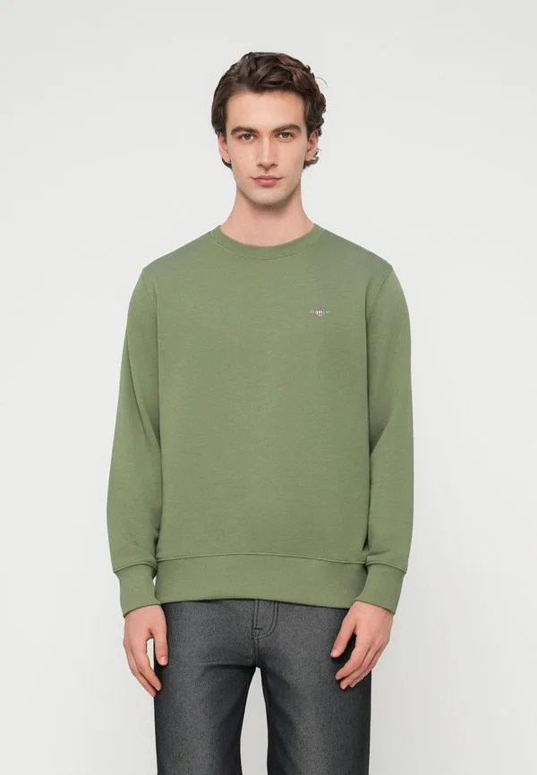 

Толстовка с воротником-стойкой reg shield Gant, Dry Herb Green, Зеленый, Толстовка с воротником-стойкой reg shield Gant, Dry Herb Green