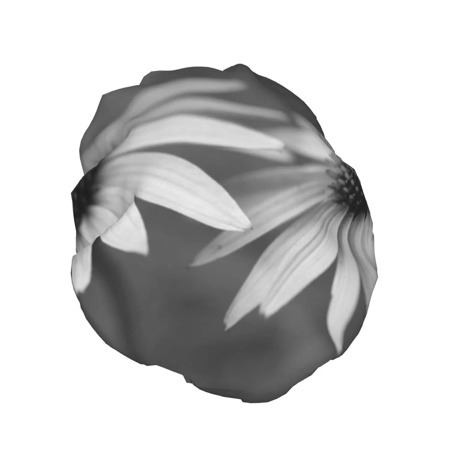 Водонепроницаемая многоразовая шапочка для душа Oudrspo, Modern Flower Painting — фото 2
