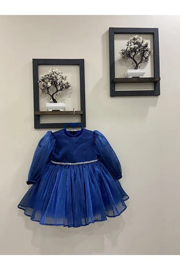 Детское платье для девочек с длинным рукавом Ayda, Saks Blue
