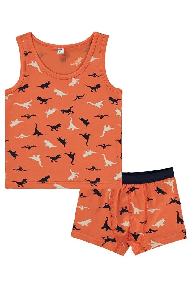 Детский комплект трусов для мальчиков с принтом Dinosaur underwear set Civil Boys, Standard