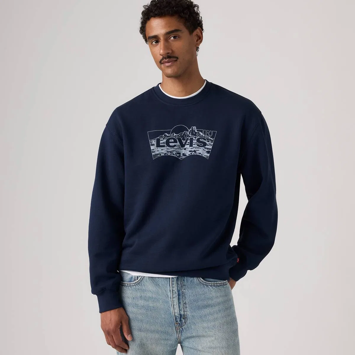 Свободная толстовка с графическим принтом и круглым вырезом Levi's, Desert Navy Blazer - Blue