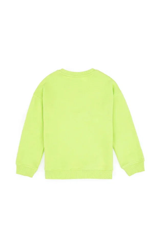 Детские свитшот для мальчиков с длинным рукавом U.S. Polo Assn., Apple Green — фото 4