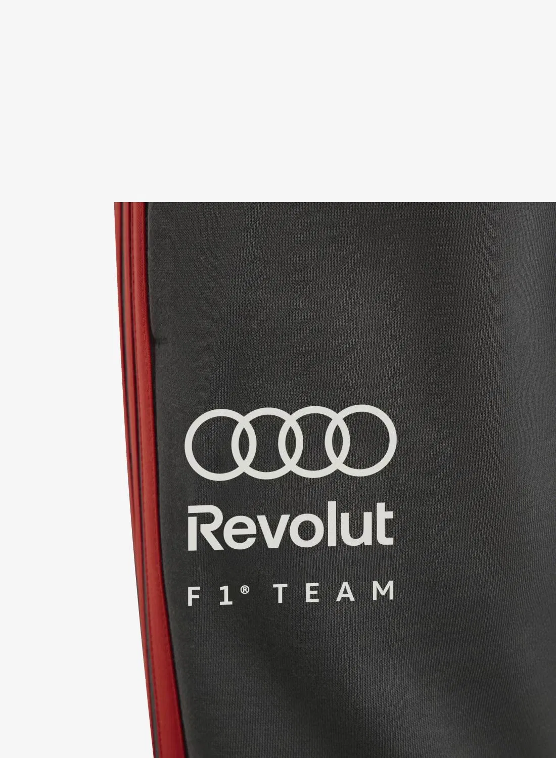 Штаны с логотипом Audi Formula One Team DNA Adidas, черный — фото 4