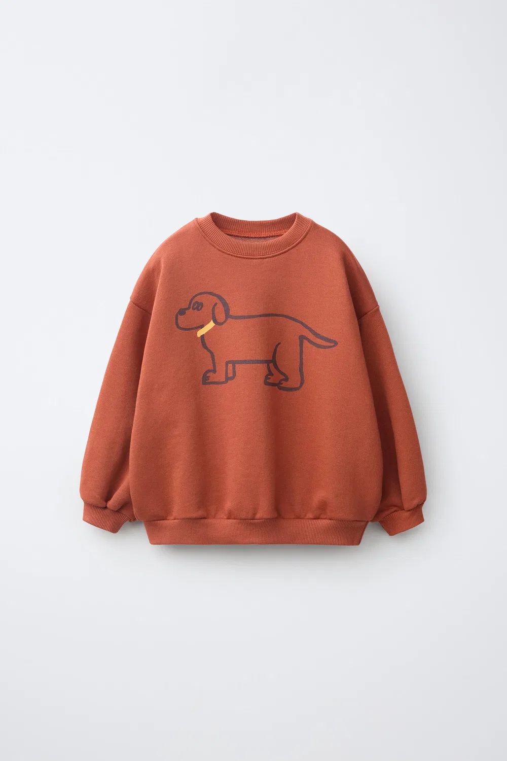 Толстовка с принтом щенка ZARA, Russet