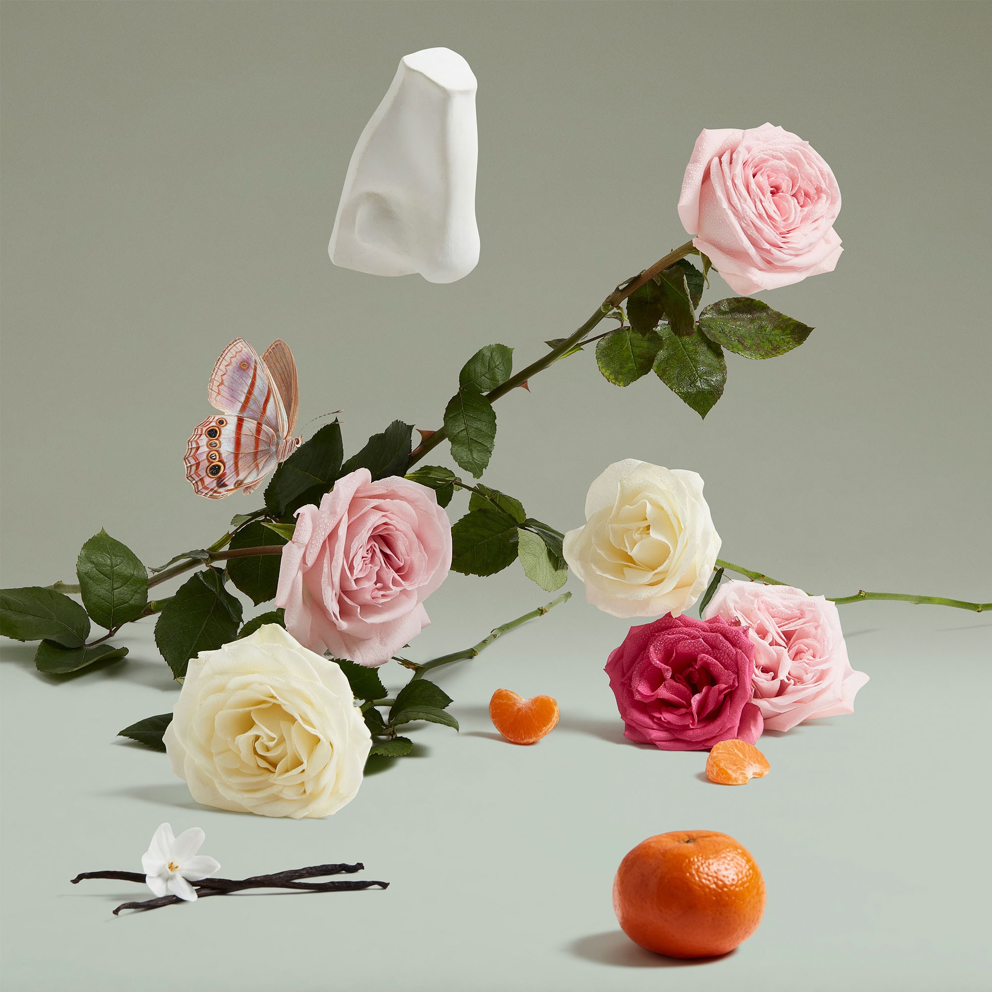 Парфюмерная вода Penhaligon's The Coveted Duchess Rose — фото 3
