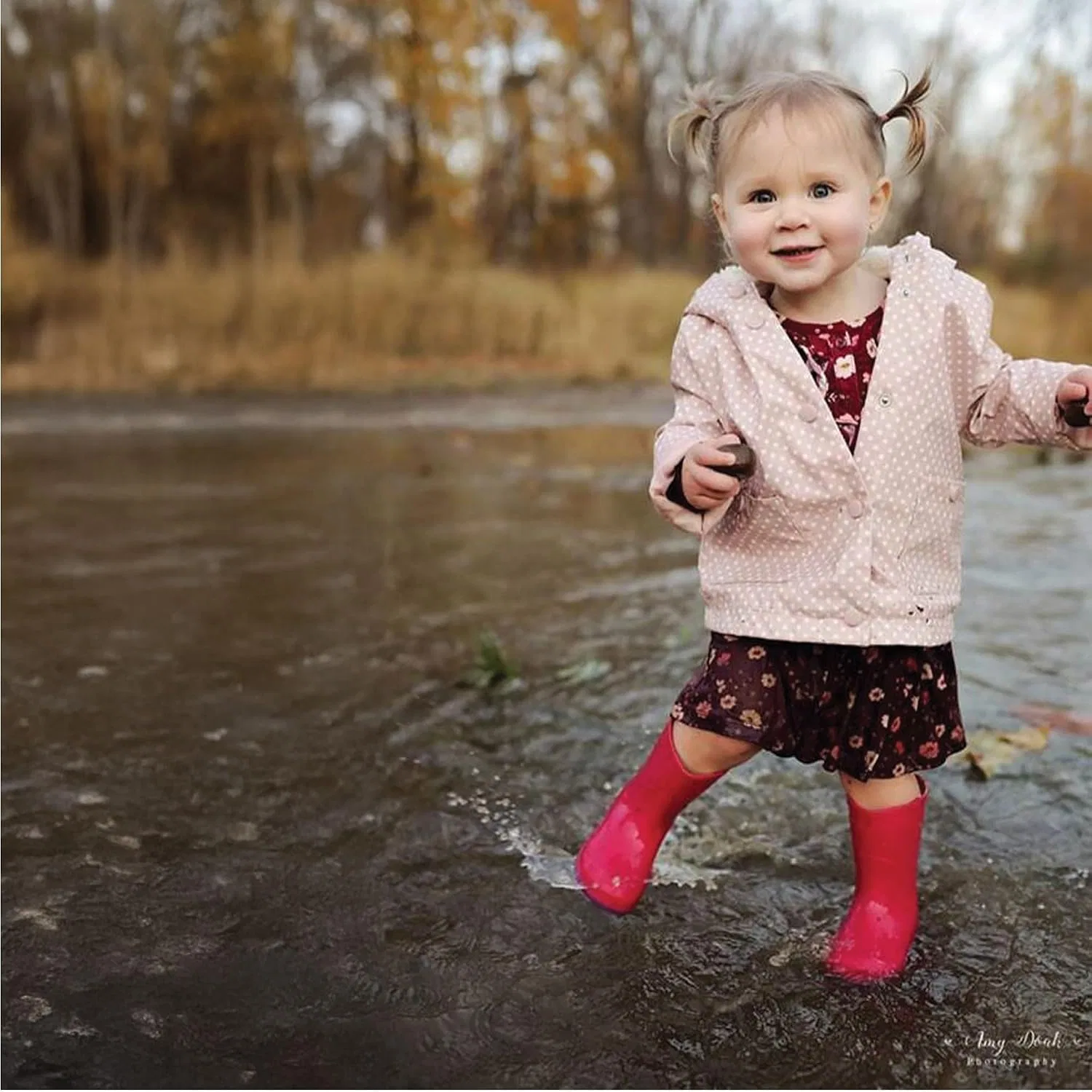 Детские сапоги для девочек с блестками Glitter Waterproof Rain Boot Western Chief, Pink — фото 2