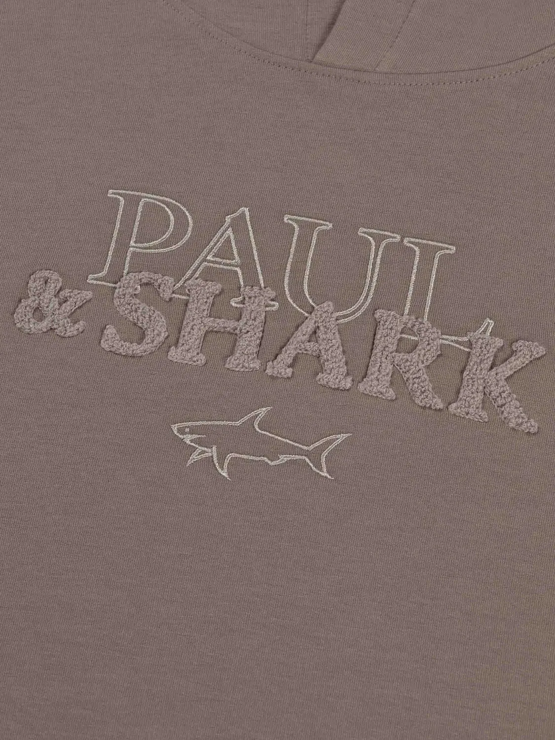 Коричневое худи с вышивкой логотипа Paul & Shark, коричневый — фото 2