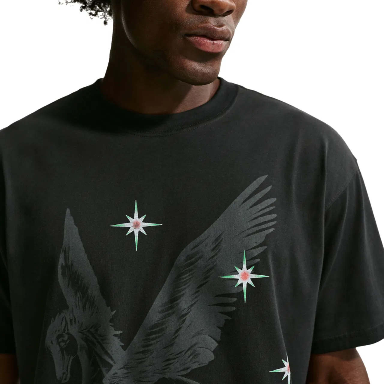 Футболка мужская LA Artist Pegasus Nike, черный/серый — фото 3