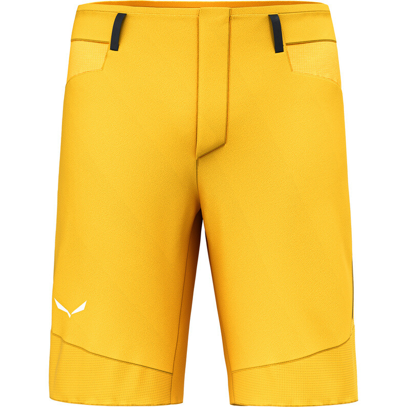 

Мужские шорты Agner Dst Salewa, желтый