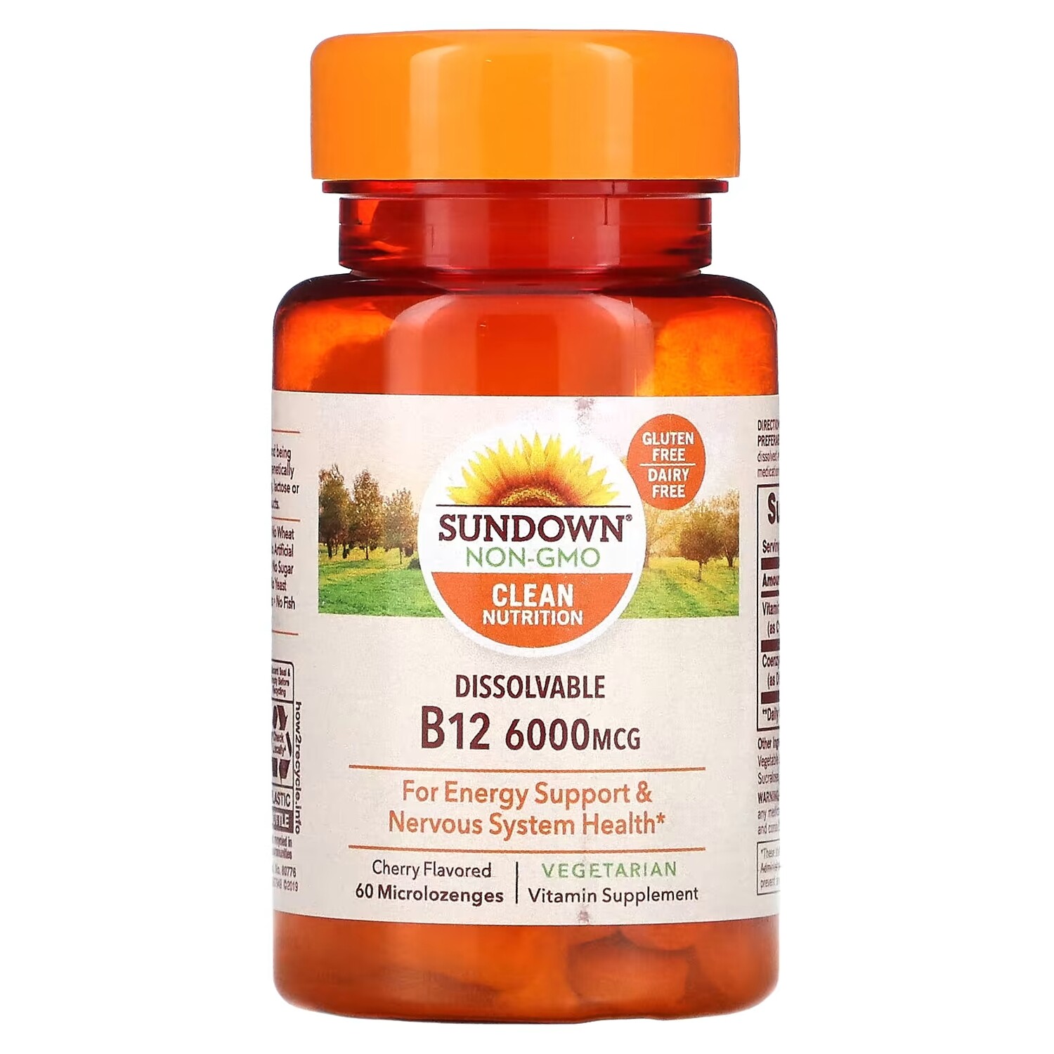 

Sundown Naturals Витамин B12 для рассасывания ароматизатор «Вишня», 6000 мкг, 60 микропастилок