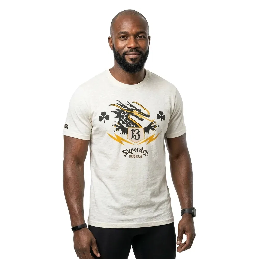 Мужская футболка свободного кроя с принтом Campaign Souvenir Superdry, Beige — фото 2