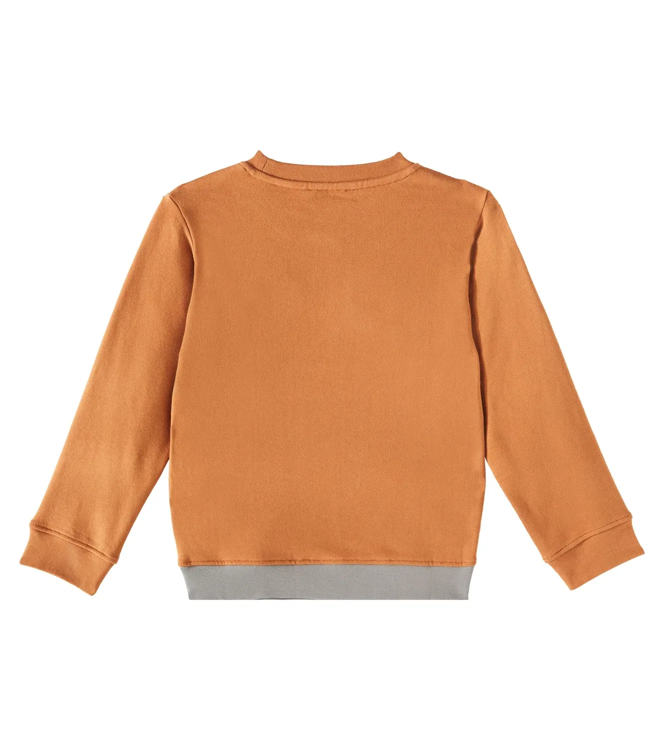 Свитшот из флиса с принтом Stella Mccartney Kids, коричневый — фото 3