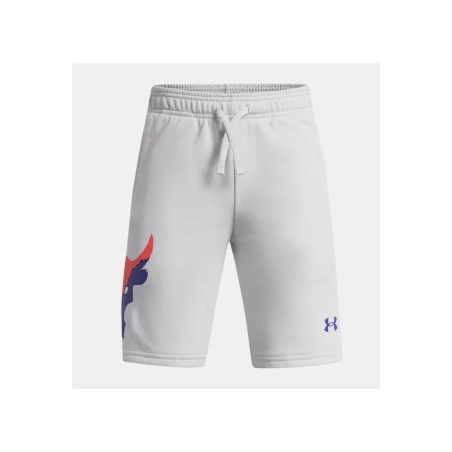 Шорты спортивные свободного кроя Project Rock Terry Under Armour, Серый