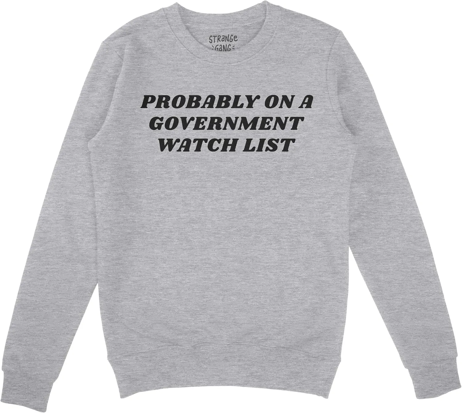 

Толстовка Allies Probably On A Government Watch List с протестным принтом