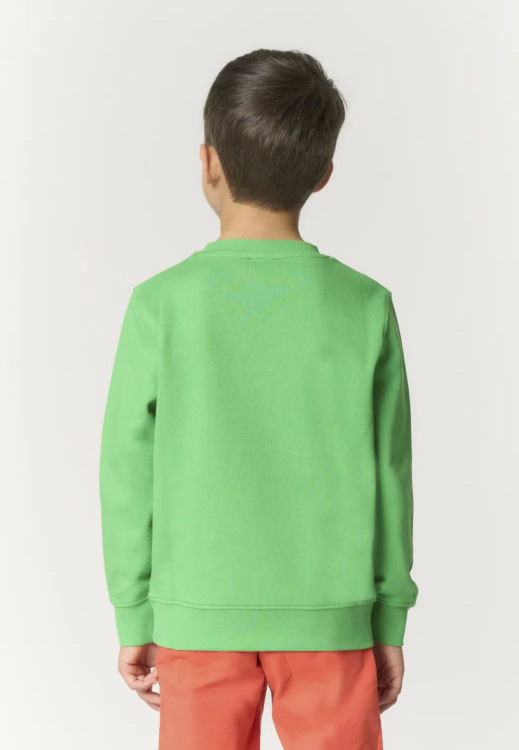 Толстовка U.S. Polo Assn., Verde — фото 2