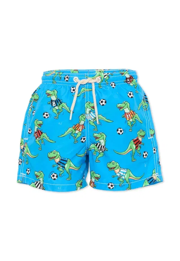 Плавки с принтом Swimming shorts Mc2 Saint Barth, синий