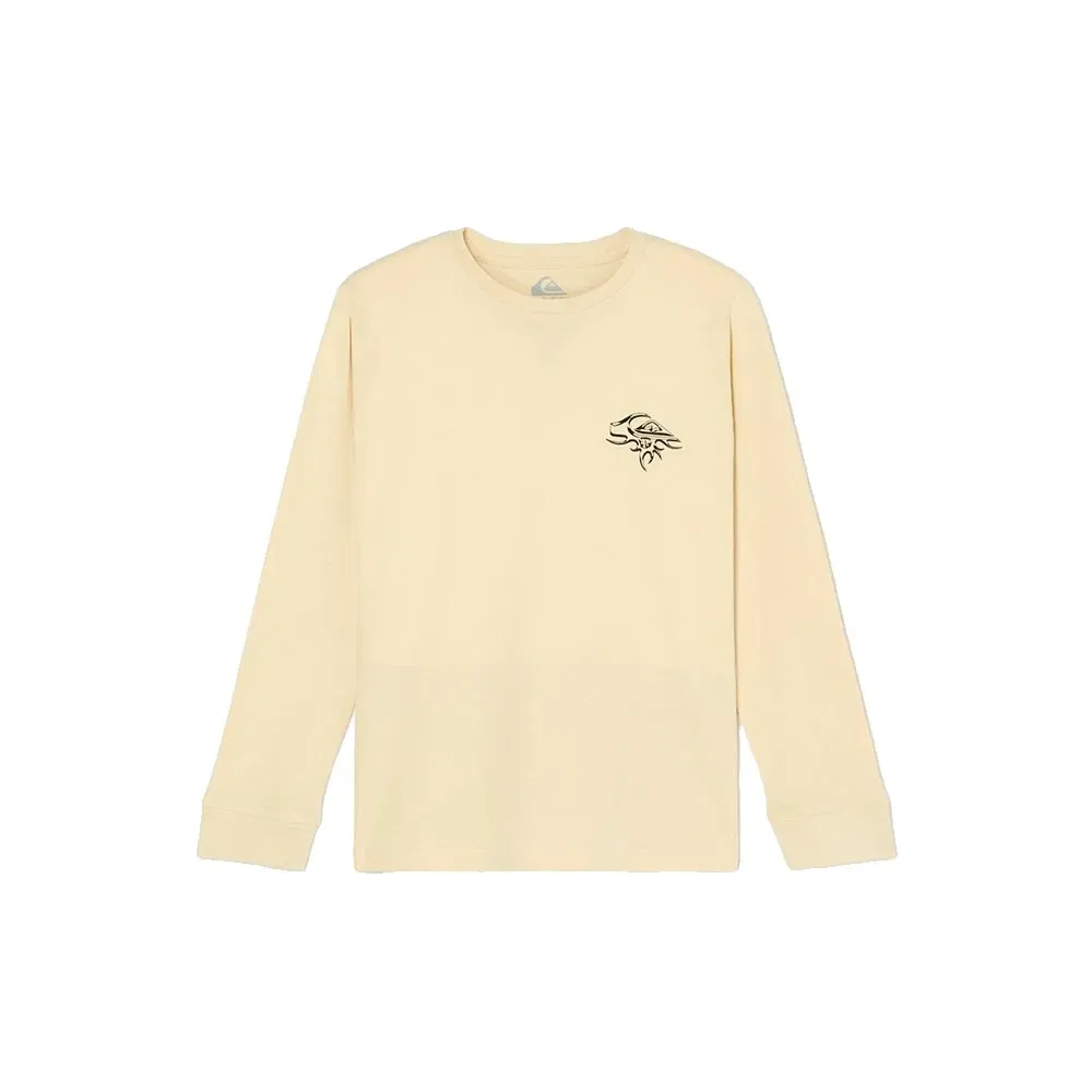 Детский свитшот для мальчиков с принтом QS Earth Quiksilver, Beige