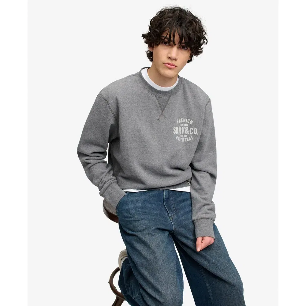 Мужской свитшот с принтом Block Text Superdry, Grey — фото 4