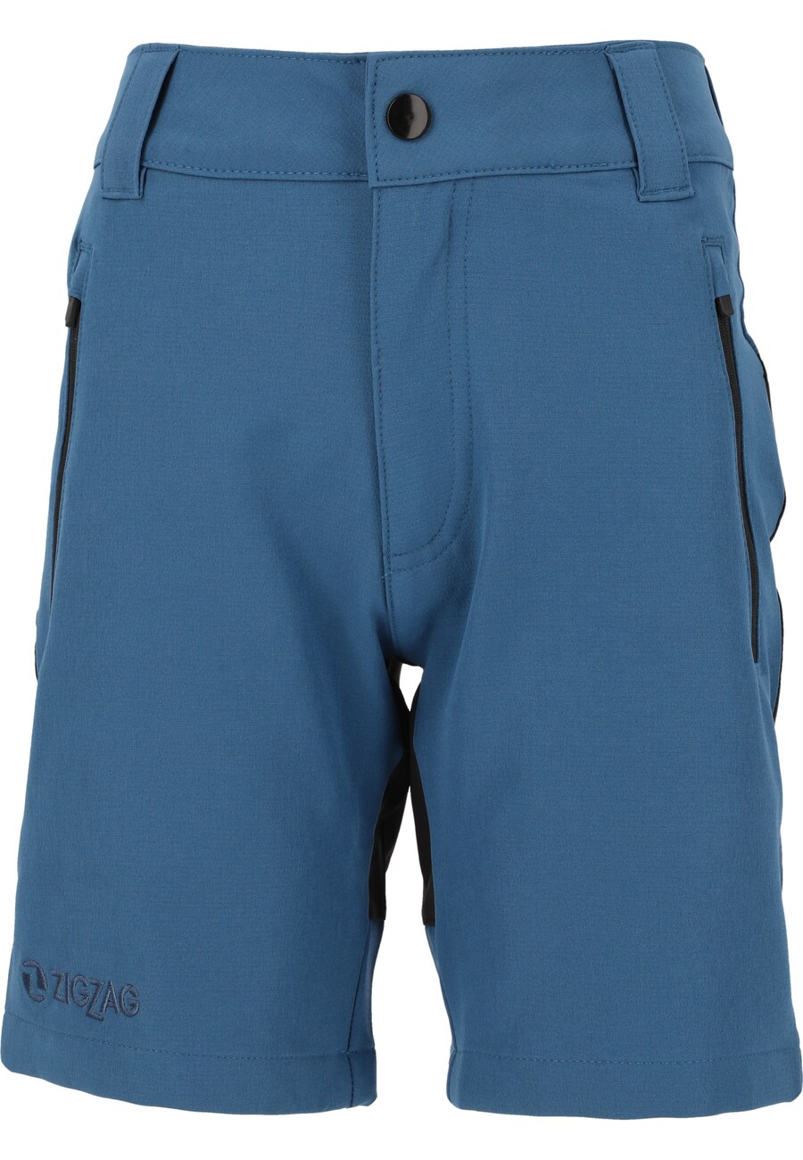 

Шорты ZigZag Regular Pants, темно-синий