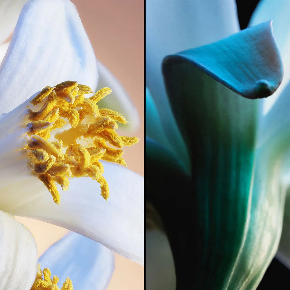 Парфюмерная вода 75 мл с цветочным букетом Jardins de Bagatelle Guerlain — фото 3