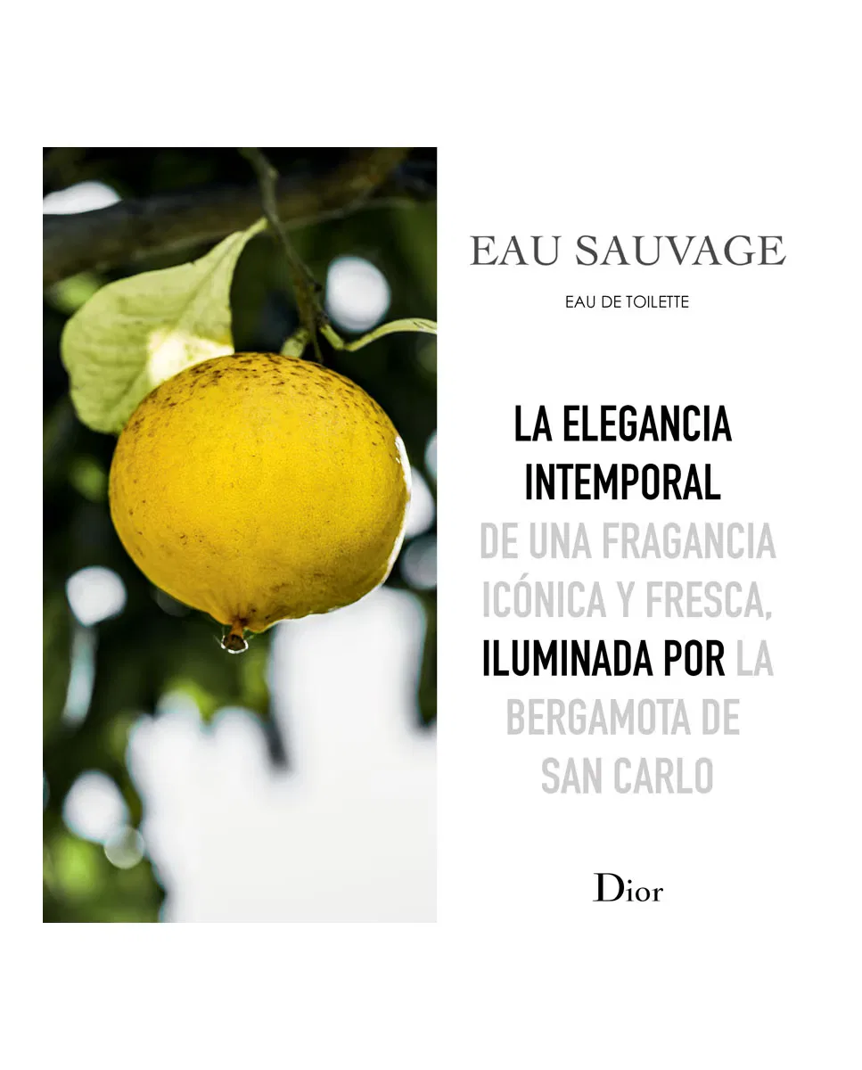 Туалетная вода, 1 л, Eau Sauvage, DIOR — фото 2