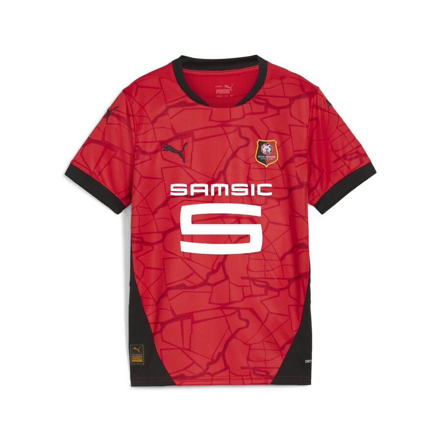 

Спортивный топ PUMA Performance Shirt Stade Rennais F.C. 24/25, красный