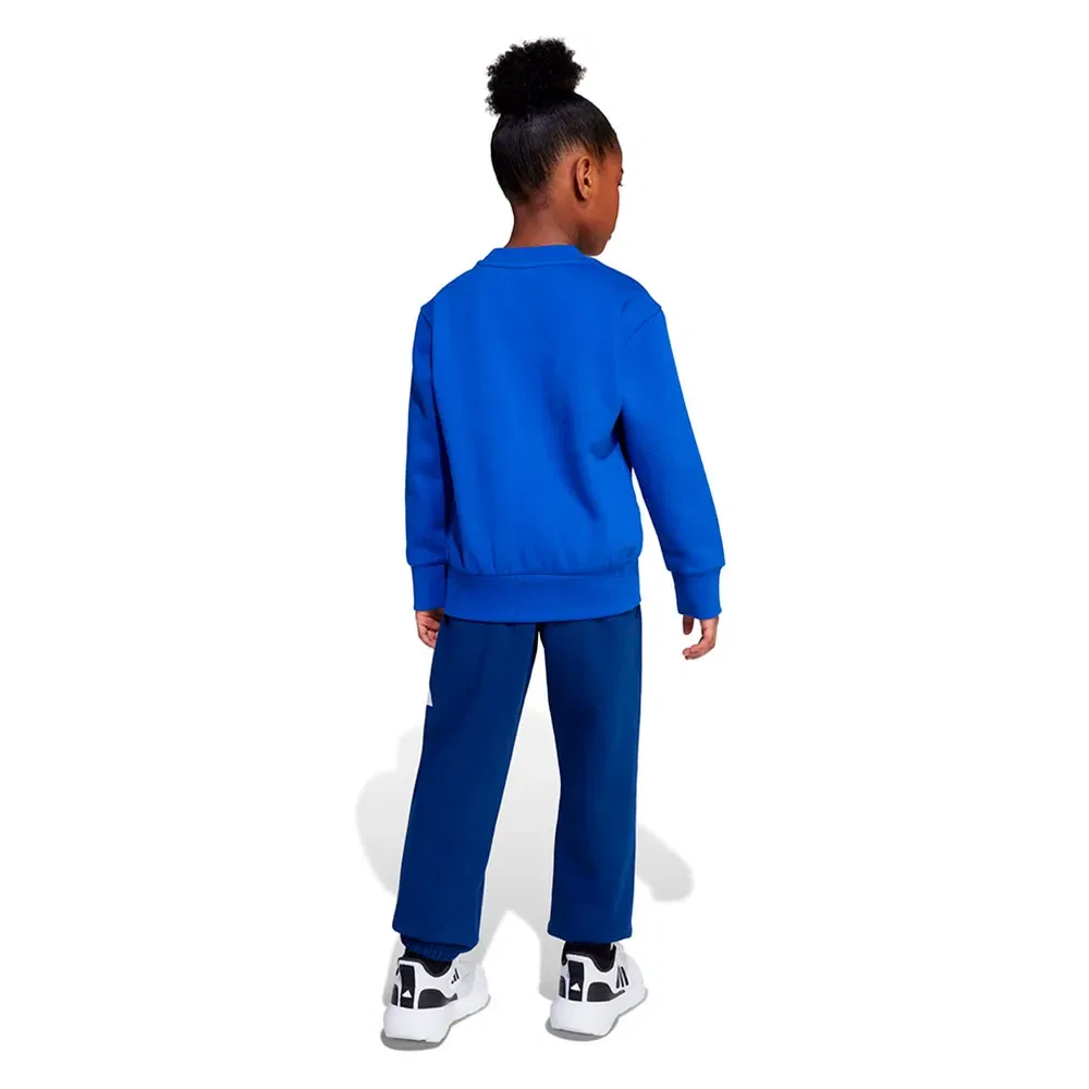 Комплект спортивных штанов Adidas Essentials Joggers, синий — фото 2