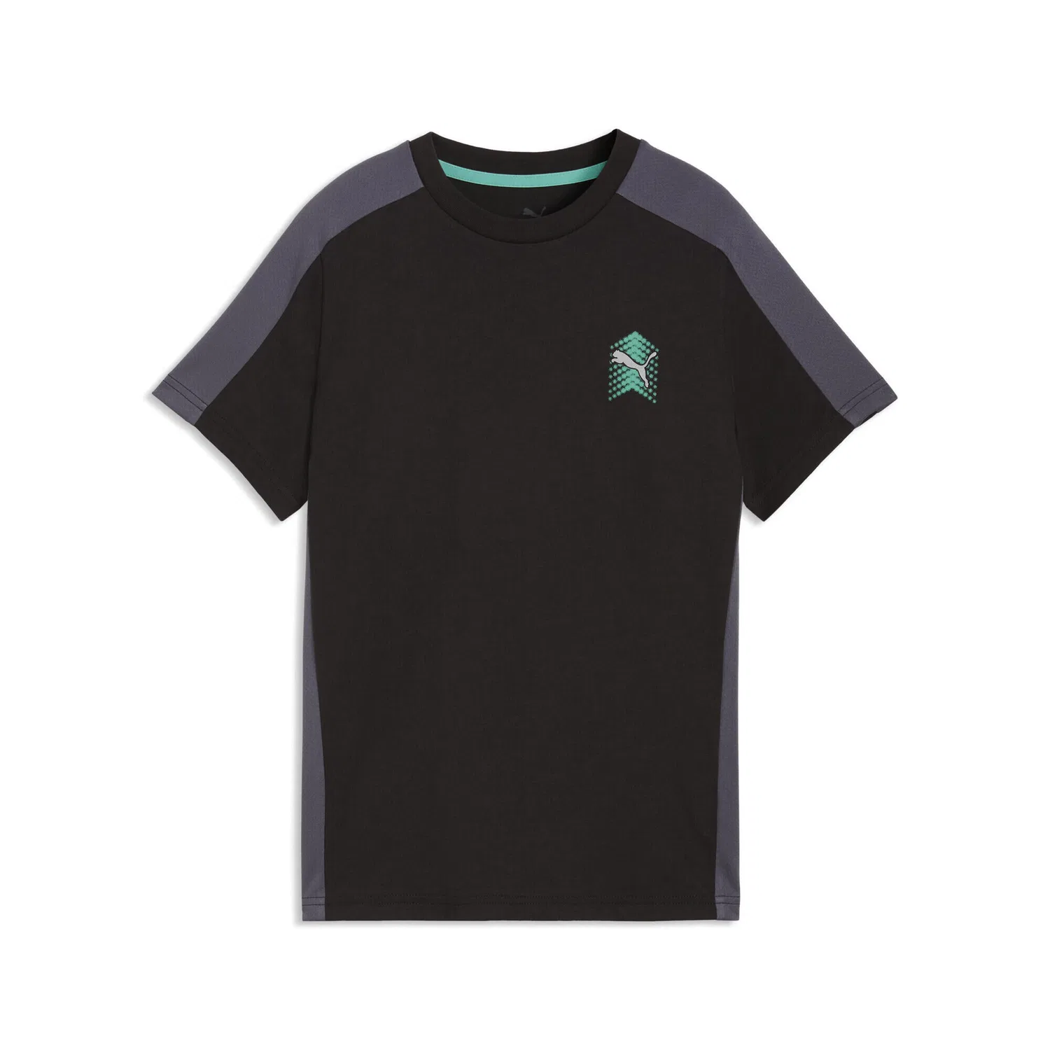Детская футболка с принтом Active Sports Graphic Puma, Schwarz