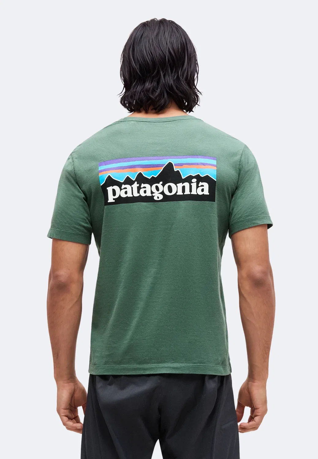 Футболка с логотипом P-6 Patagonia, Canopy Green