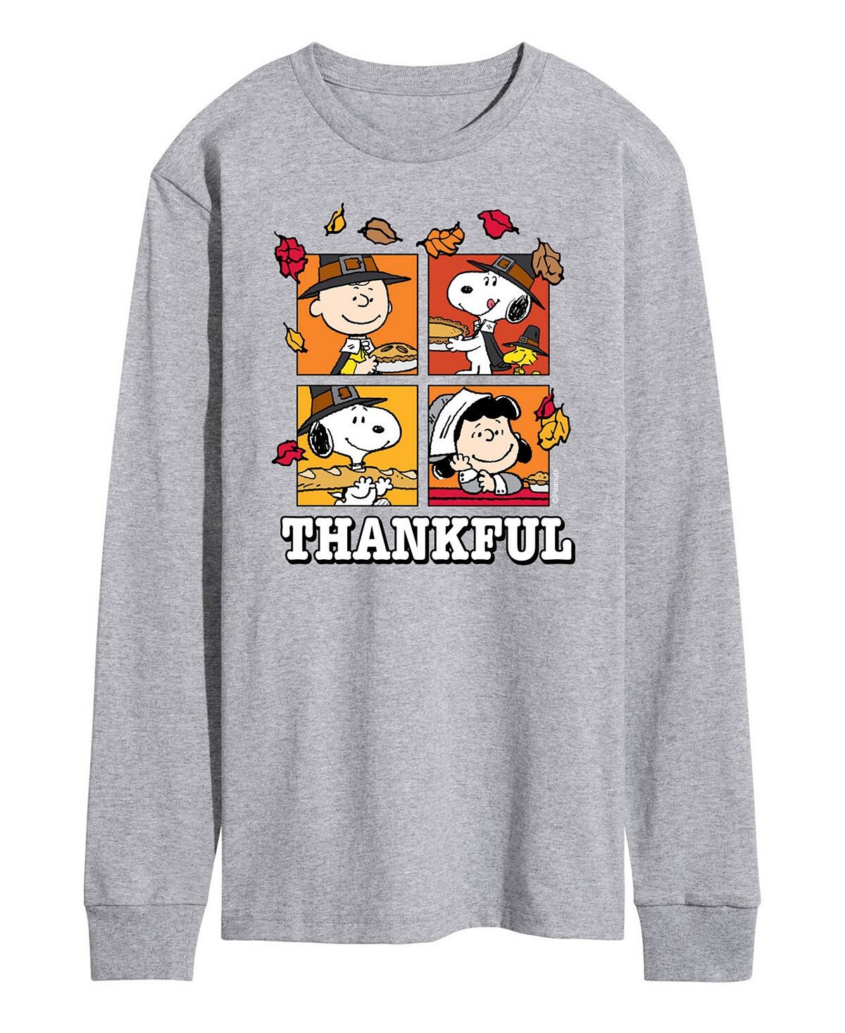 

Мужская футболка с длинным рукавом peanuts thankful AIRWAVES, серый