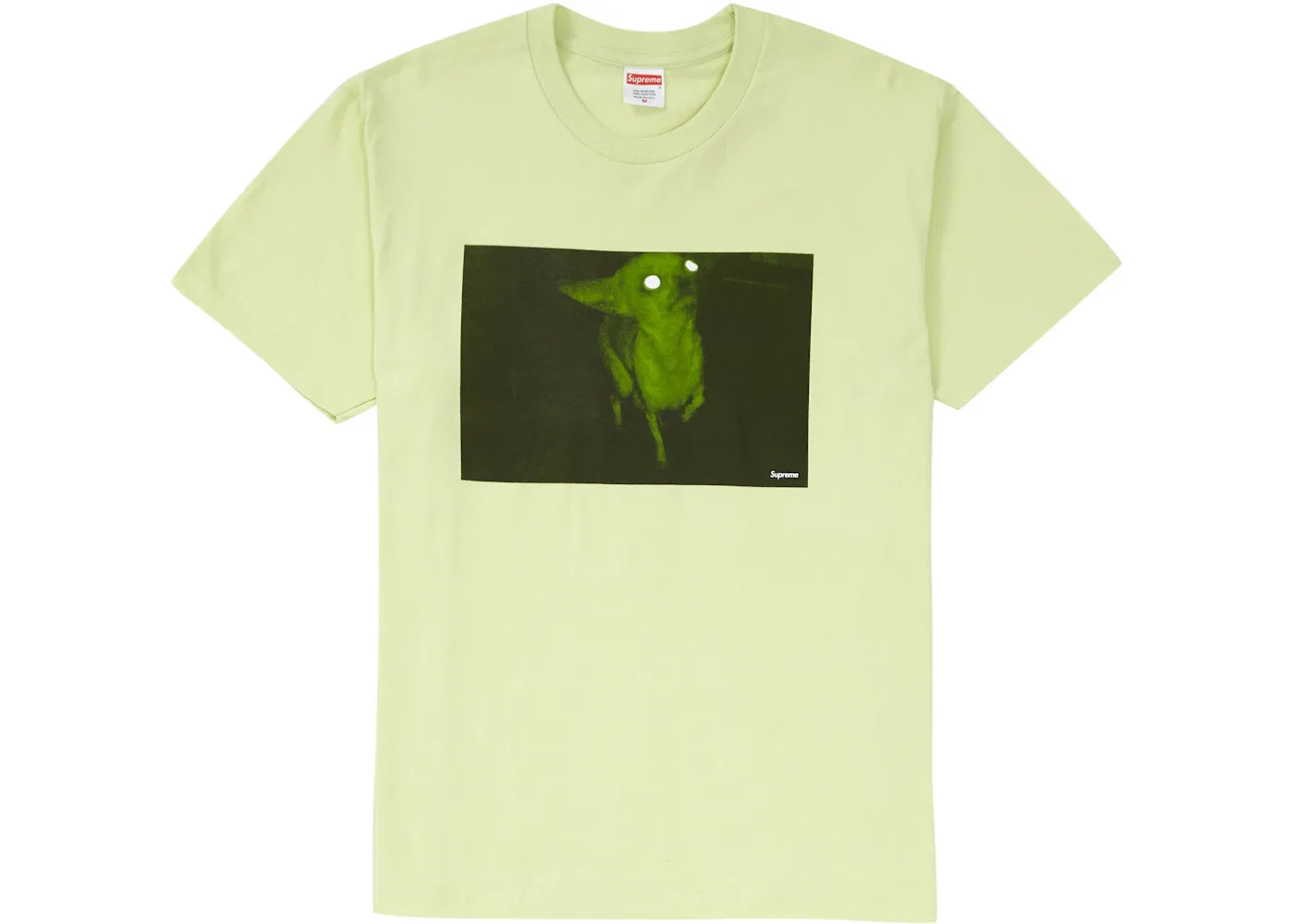 Мужская футболка с принтом Chris Cunningham Chihuahua Supreme, Pale Mint