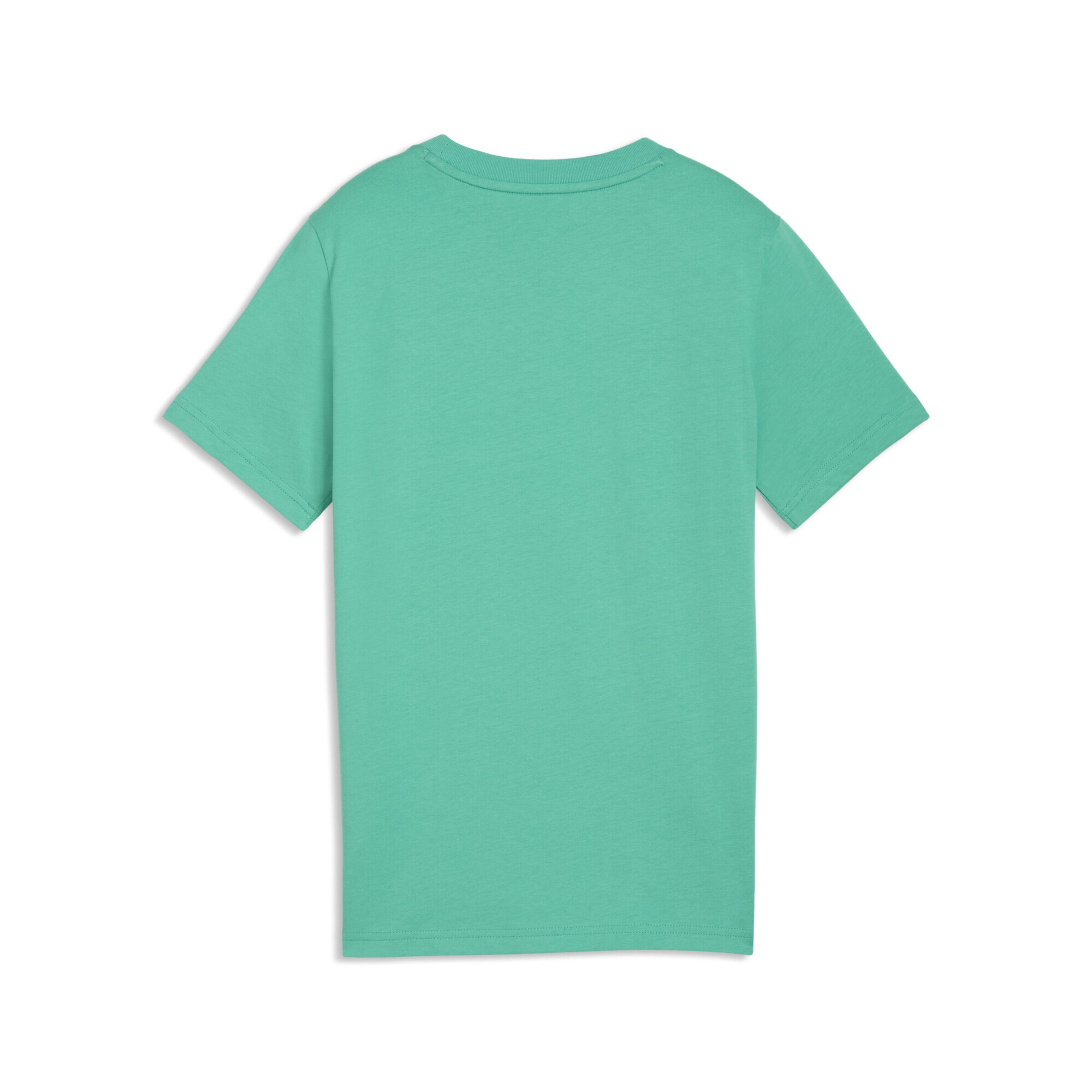 PUMA Футболка 'Essentials Colour No.1' в цвете Emerald, Fir — фото 2