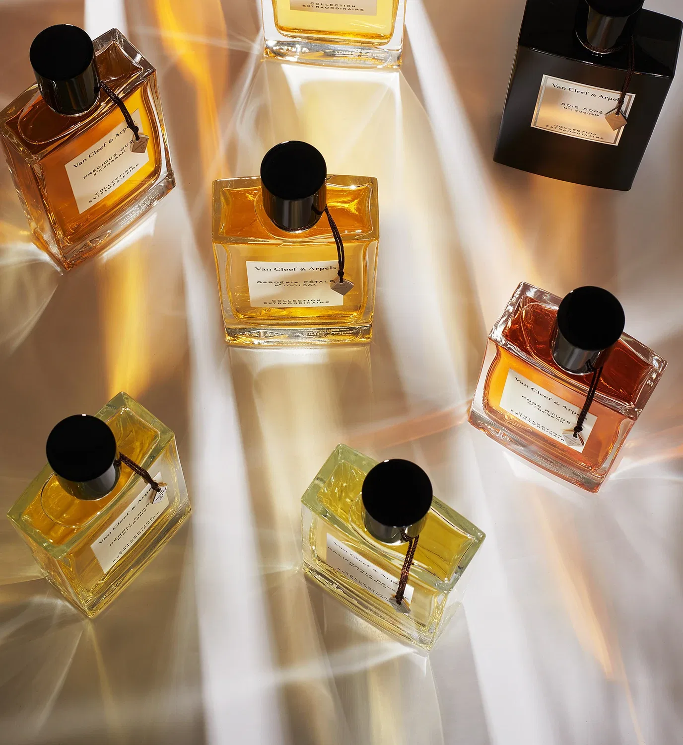 Цветок Ночи - Парфюмерная вода Van Cleef & Arpels, коричневый — фото 3