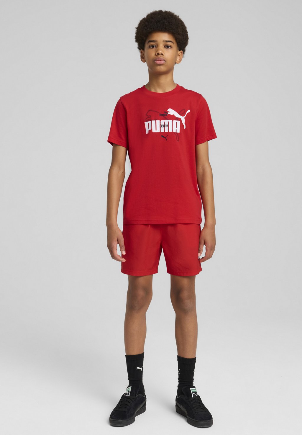 

Футболка с принтом ESSENTIALS LOGO LAB SUMMER Puma, красный
