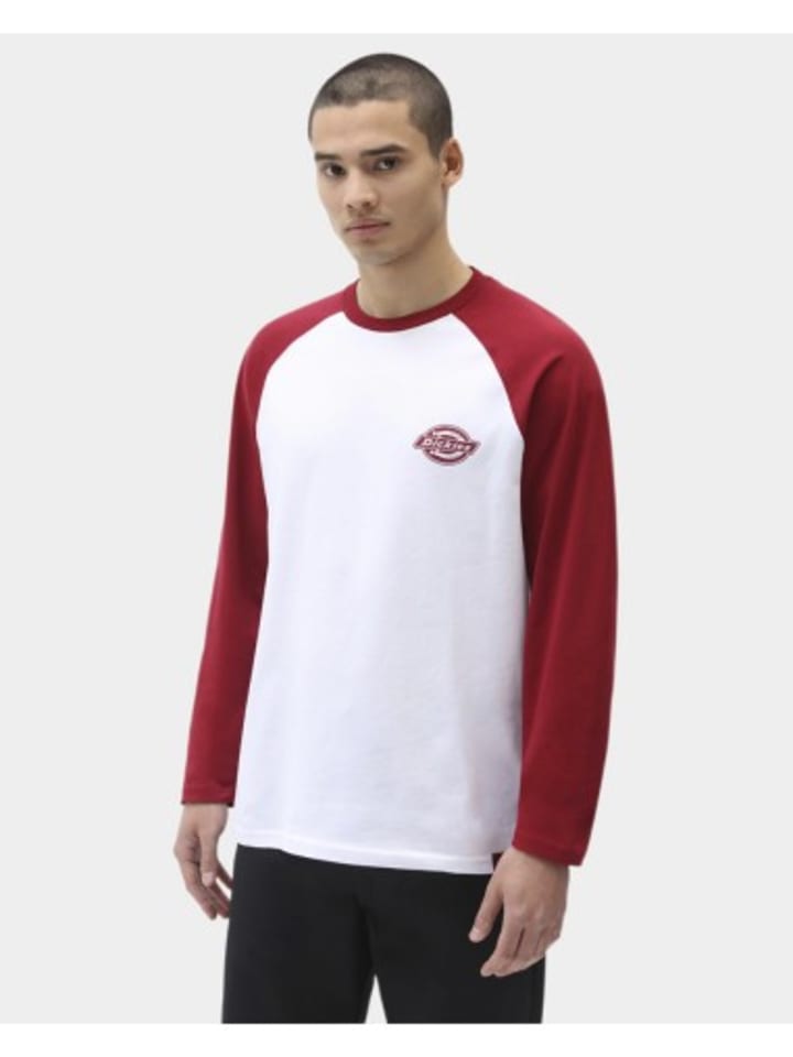 

Футболка Dickies Tshirt in
