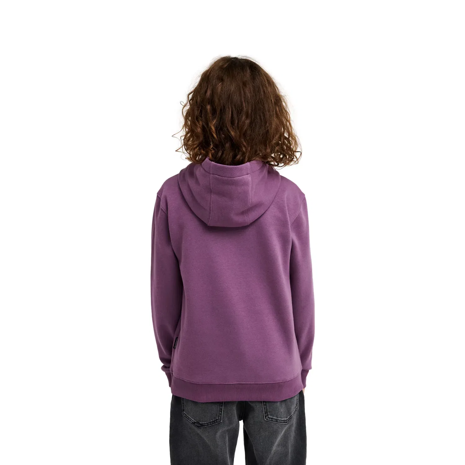 Детская худи для мальчиков из флиса с принтом Omni Logo Quiksilver, Purple — фото 2