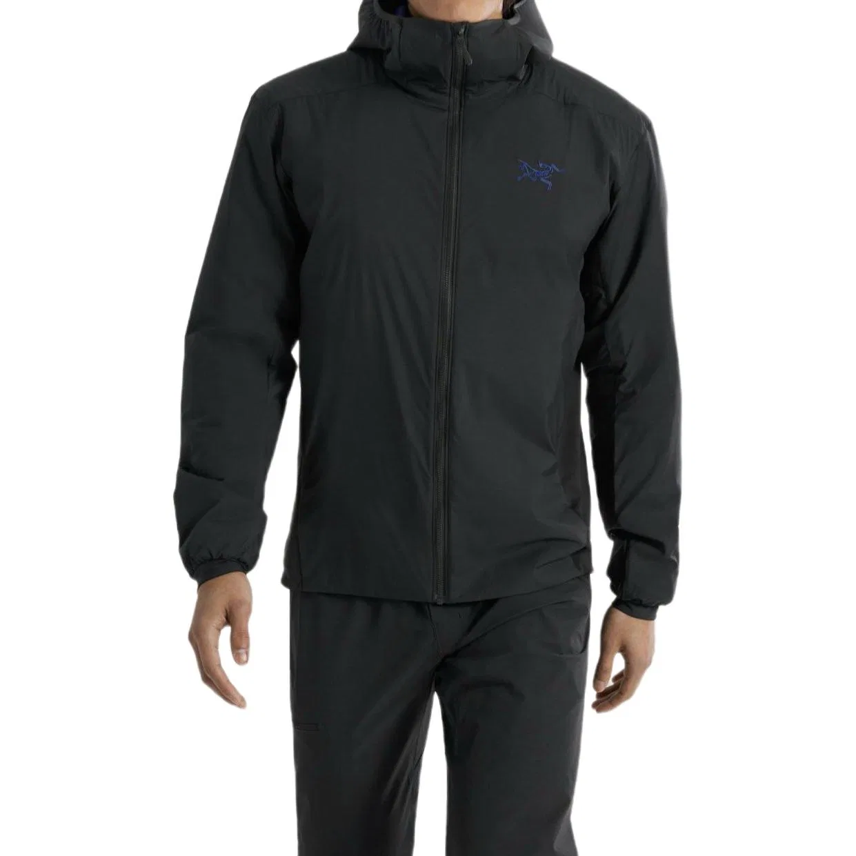 Мужская куртка-пуховик с утеплителем Atom Puffer Arcteryx, Black/Sonic Purple/Black/Soul/Electra