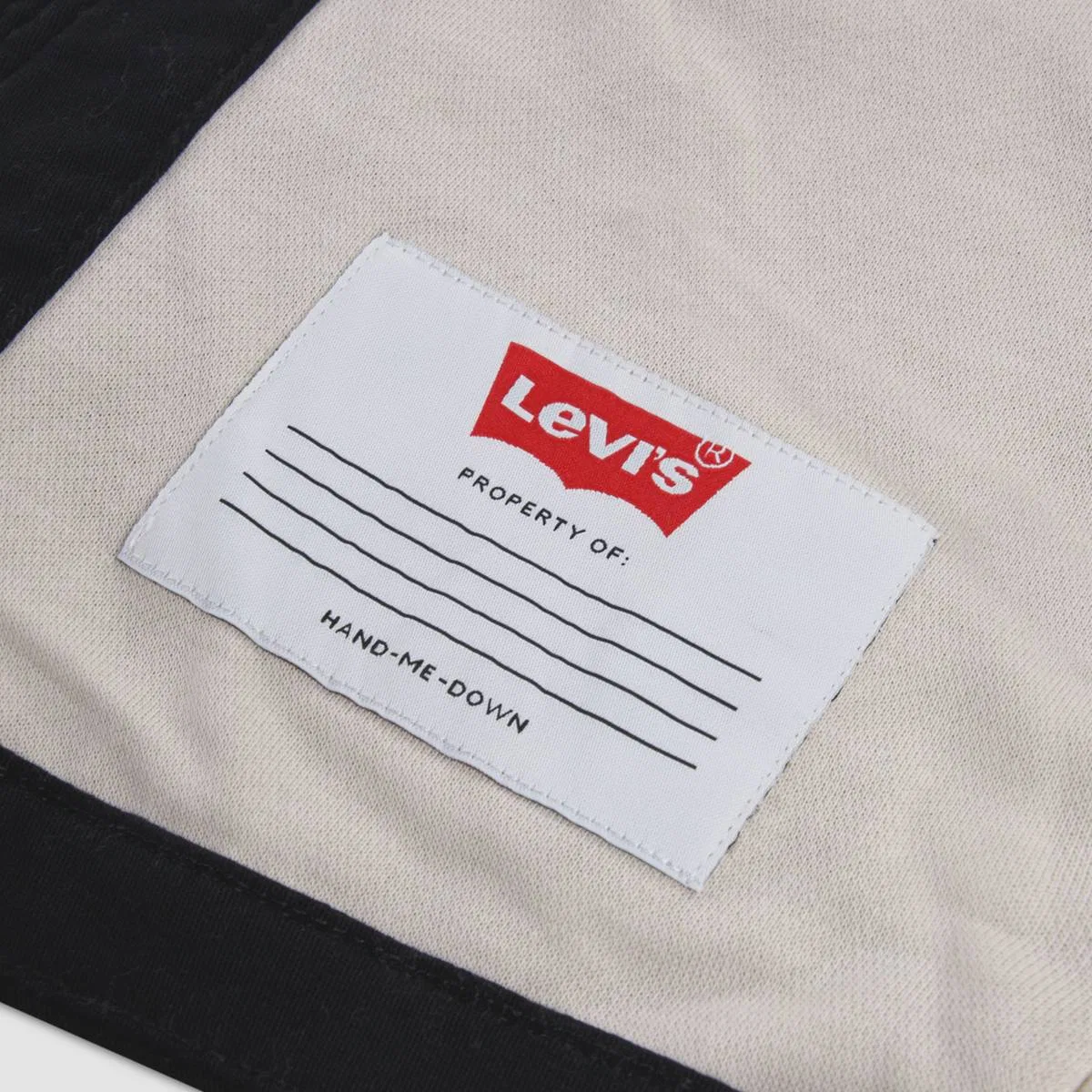 Куртка с капюшоном и подкладкой из искусственного меха для мальчиков 4-7 лет Levi's, Jet Black - Black — фото 4