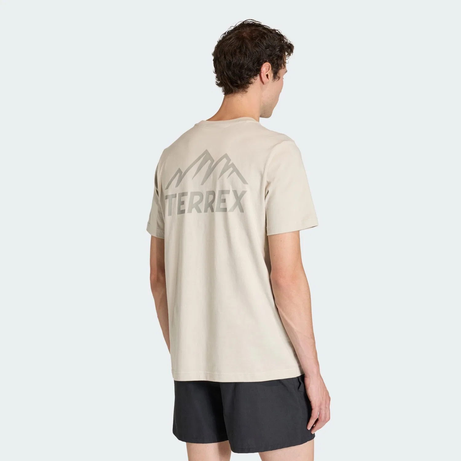 Мужская футболка с принтом Terrex Mountain Graphic Adidas, Beige — фото 3