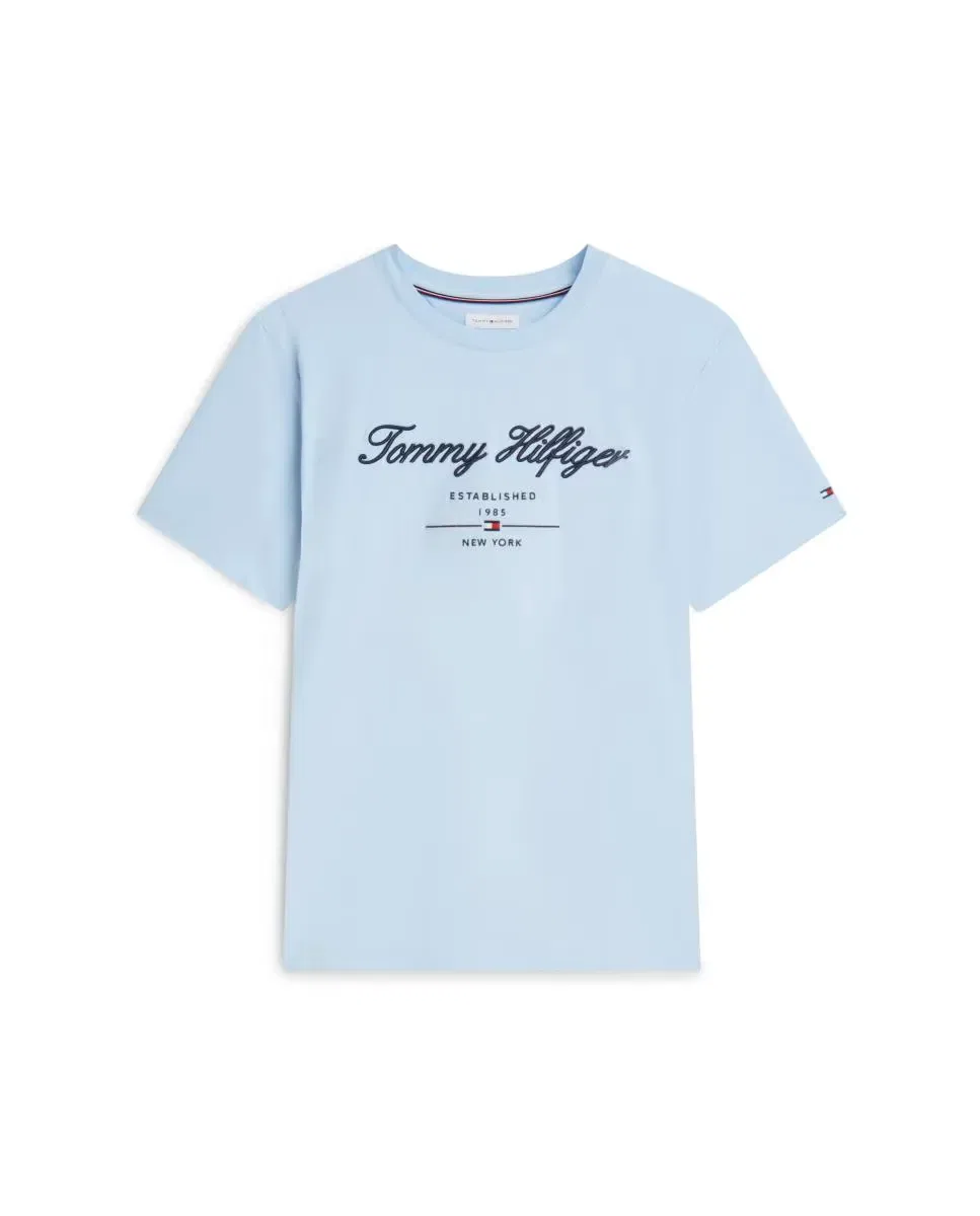 Мужская футболка хлопковая Tommy Hilfiger, Azul Celeste