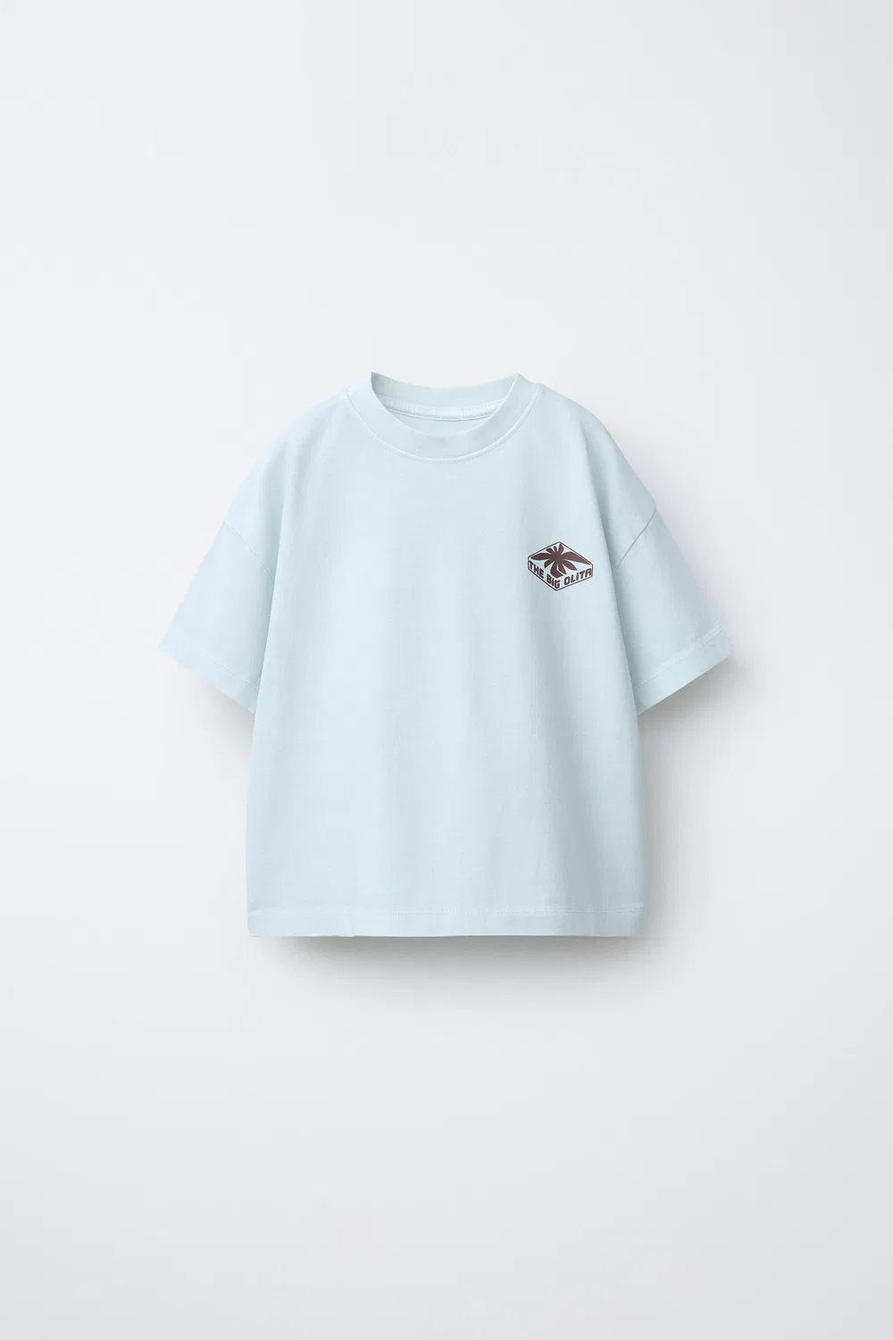 Футболка с принтом логотипа ZARA, Aquamarine