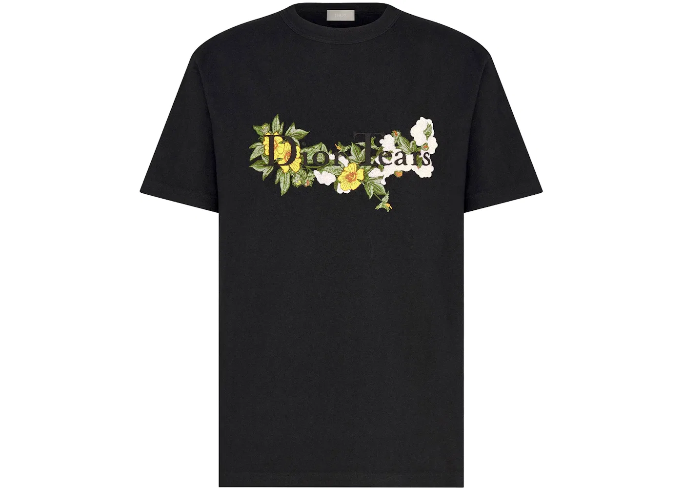 Мужская футболка с принтом Dior T-Shirt Dior, Black