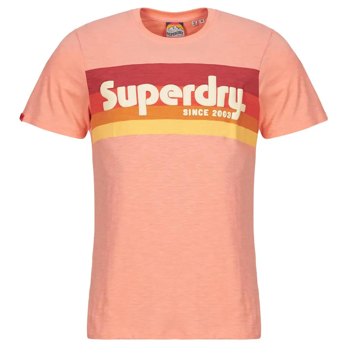 Мужская футболка с принтом Terrain Logo Stripe Superdry, Rosa