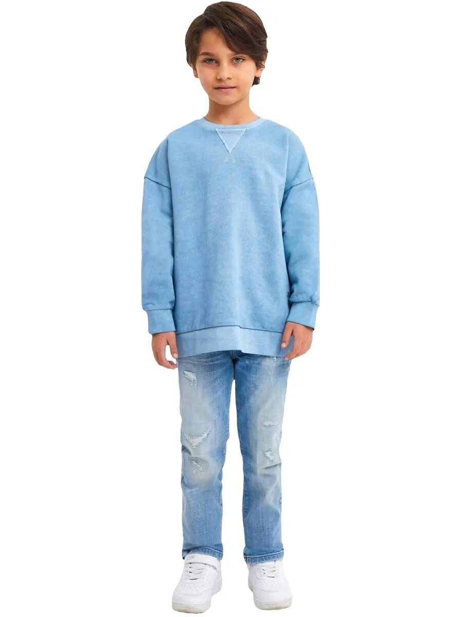 Толстовка LTB Jeans 'LTB Jeans Jungen Basic Sweatshirt mit Ruckenprint' синего цвета