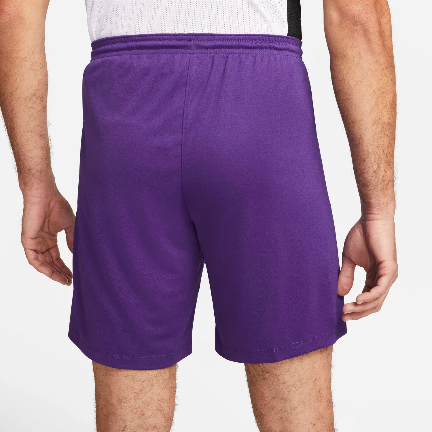 Мужские шорты с технологией Dri-FIT Park III Nike, Royal Purple White — фото 4