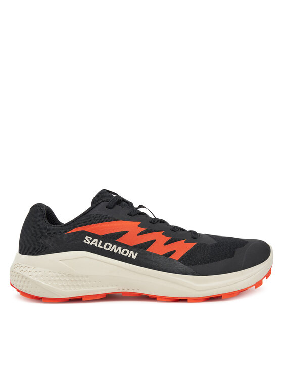 

Кроссовки для бега Alphaglide L47801100 Salomon, черный
