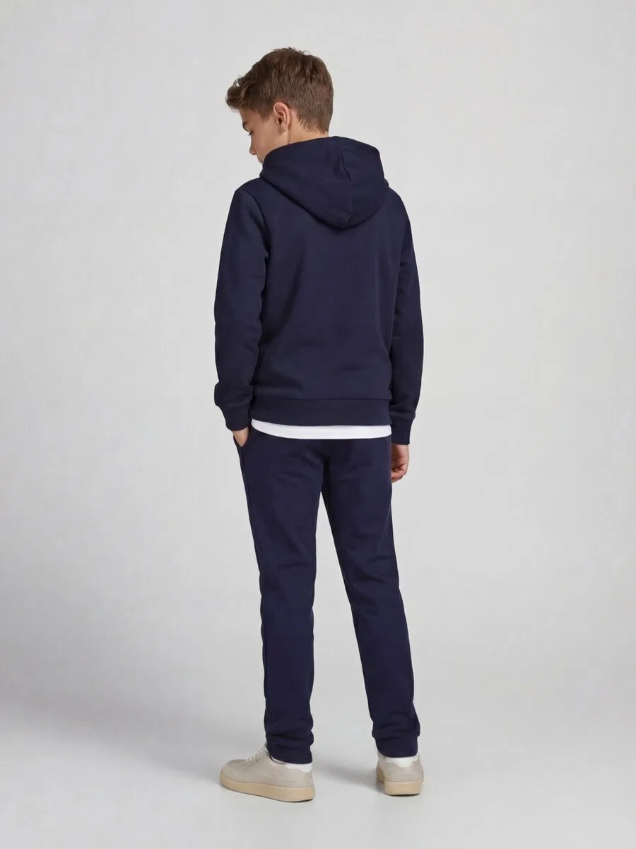 Брюки JJ Rebel Regular Pants 'JREBCREST' темно-синего цвета — фото 2