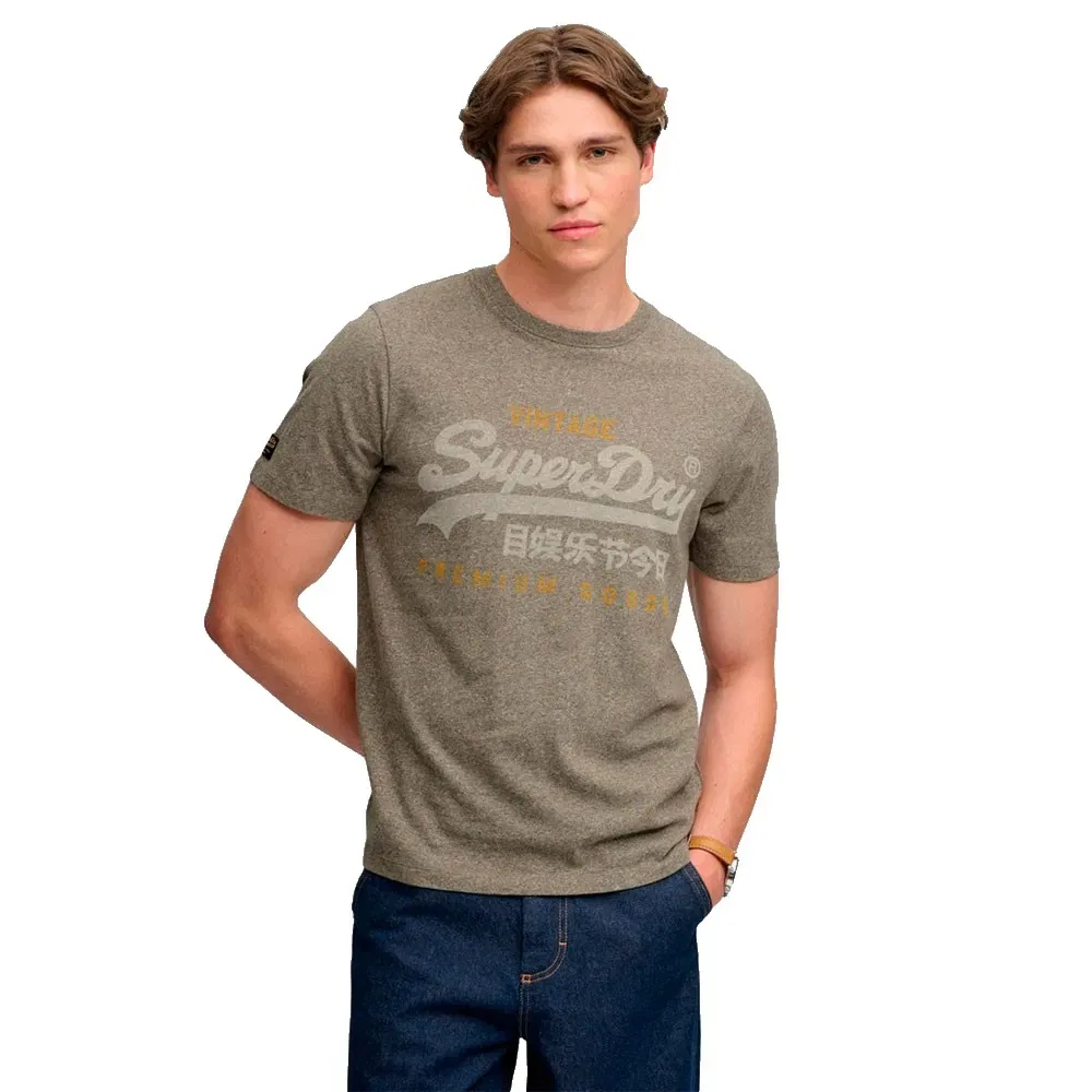 Мужская футболка с принтом Vintage Logo Heritage Superdry, Grey